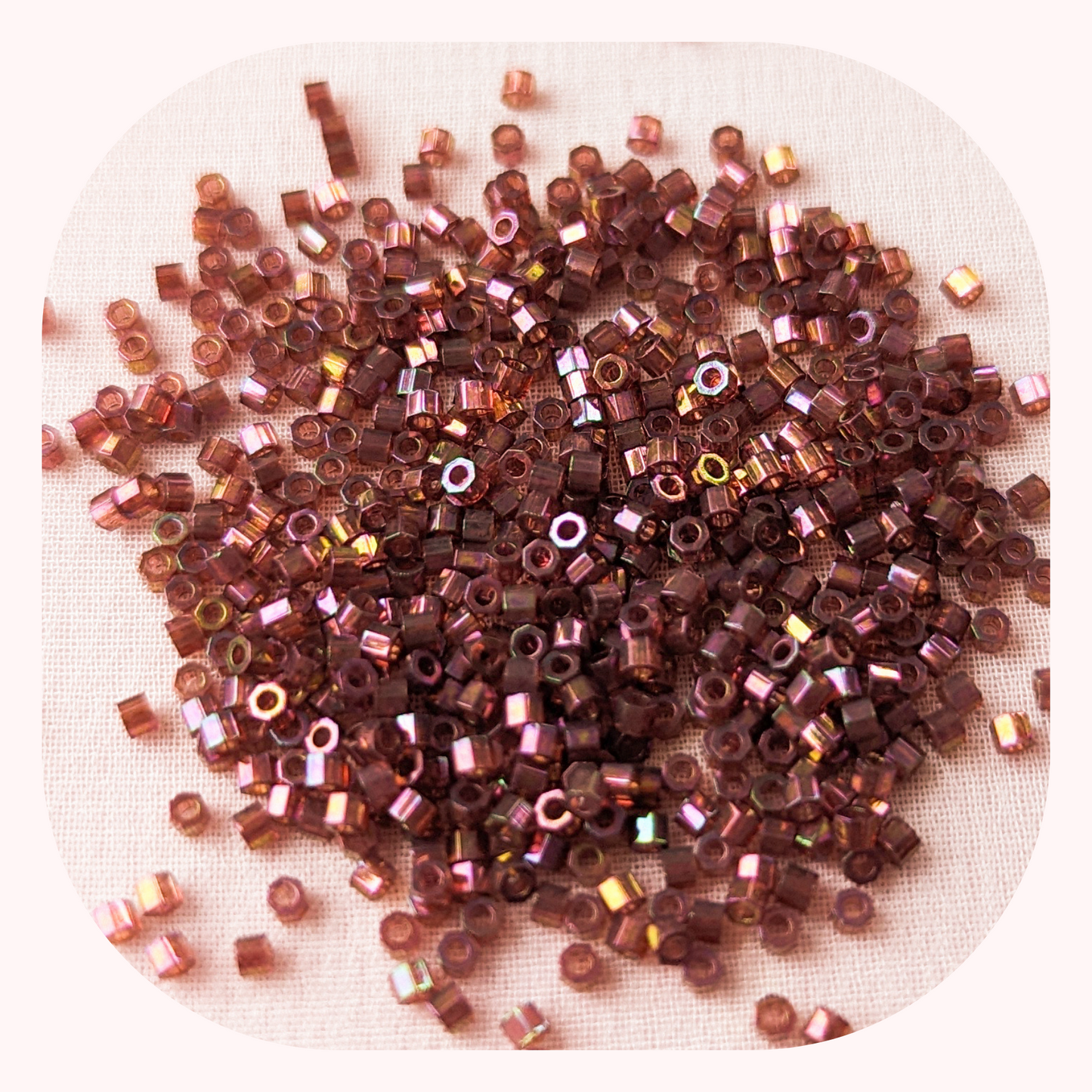 Rose Garden - Miyuki Delicas