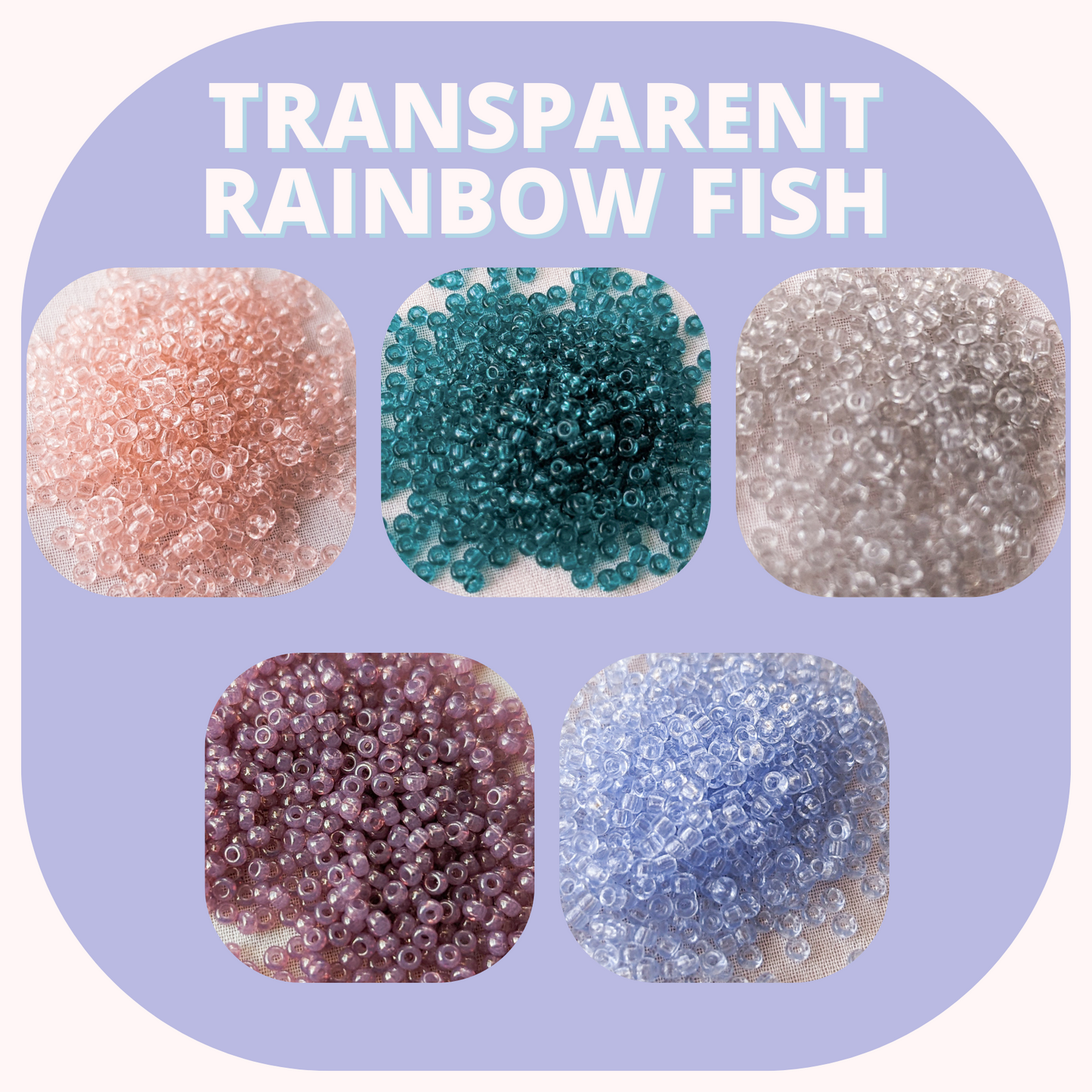 Transparent Rainbow Fish - Miyuki Rounds