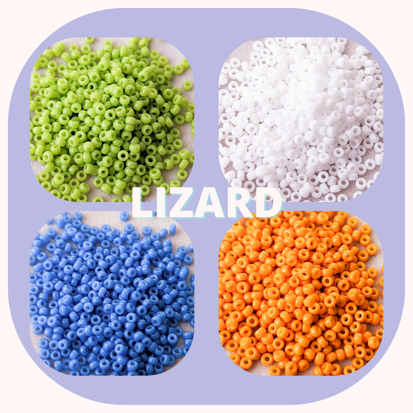 Lizard - Miyuki Rounds