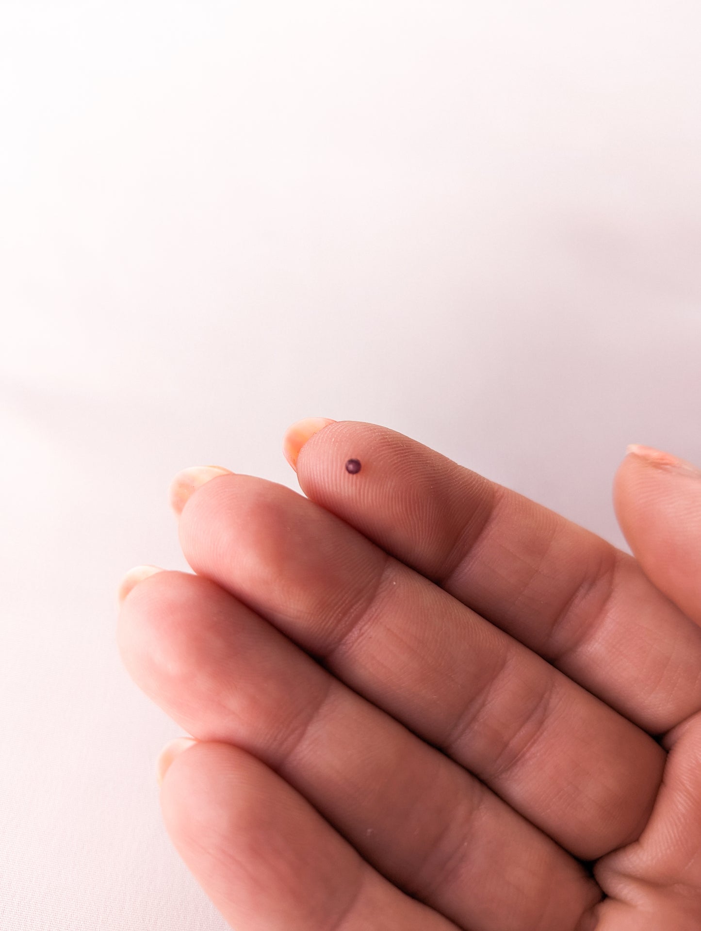 2mm Faceted Round - Garnet Grade AAA