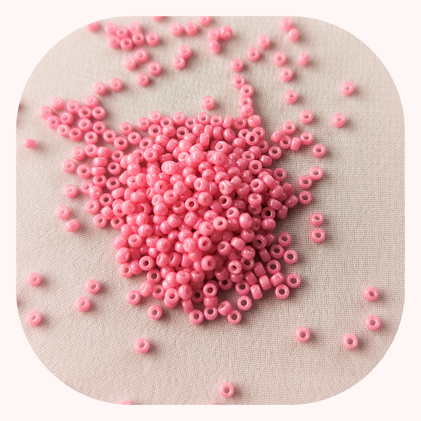 Carnation Pink - Single - Miyuki Rounds