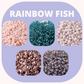 Rainbow Fish - Miyuki Rounds