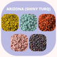 Arizona (Shiny Turq) - 15 Gram tubes - Toho